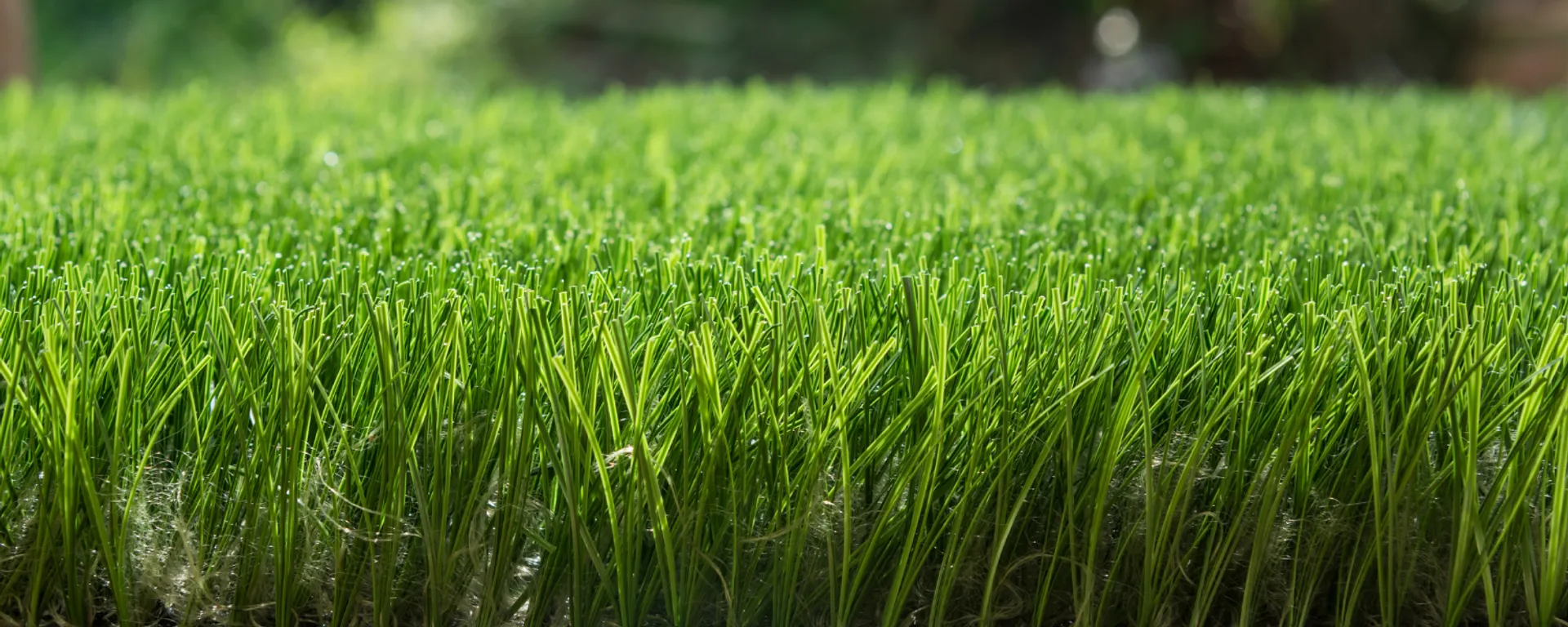 Artificial lawns in Hertfordshire, Bedfordshire, Essex & North London