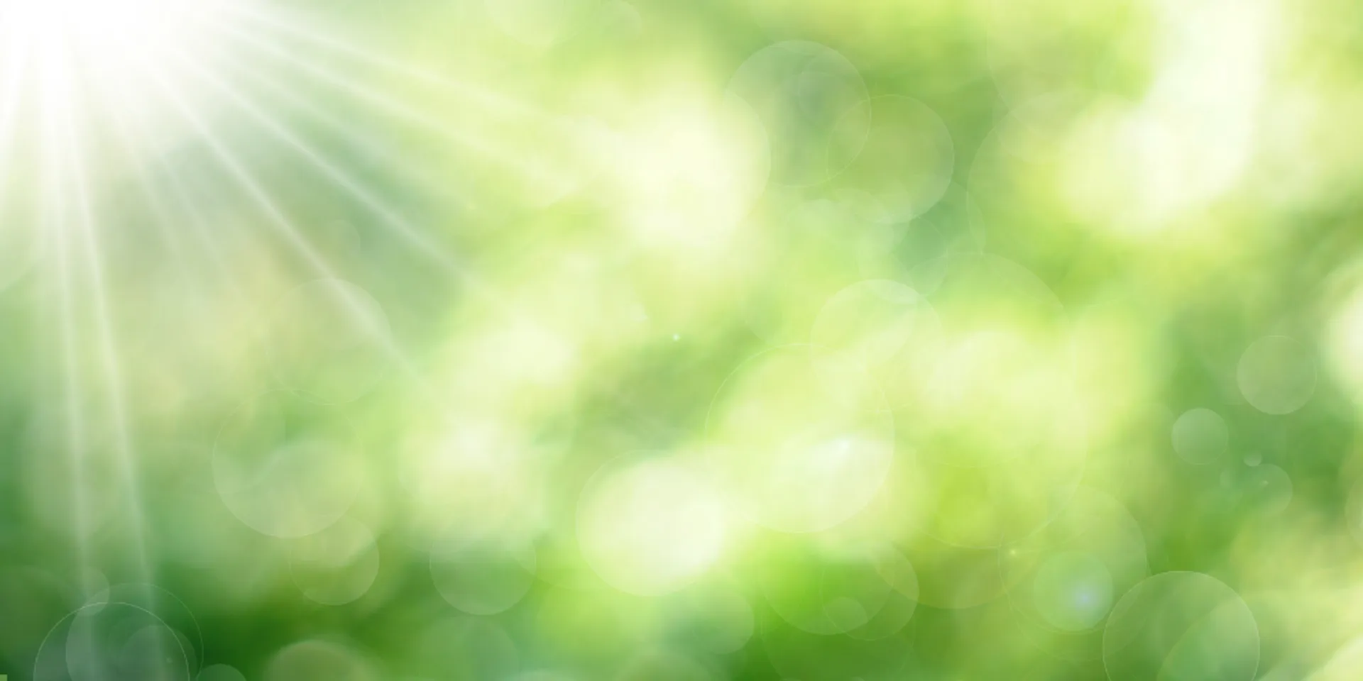 Expert Fence installation